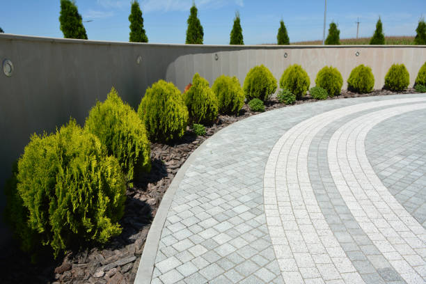 Best Driveway Paving Contractor  in Covington, WA
